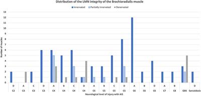 A Prediction Model for Various Treatment Pathways of Upper Extremity in Tetraplegia